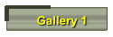 Gallery 1